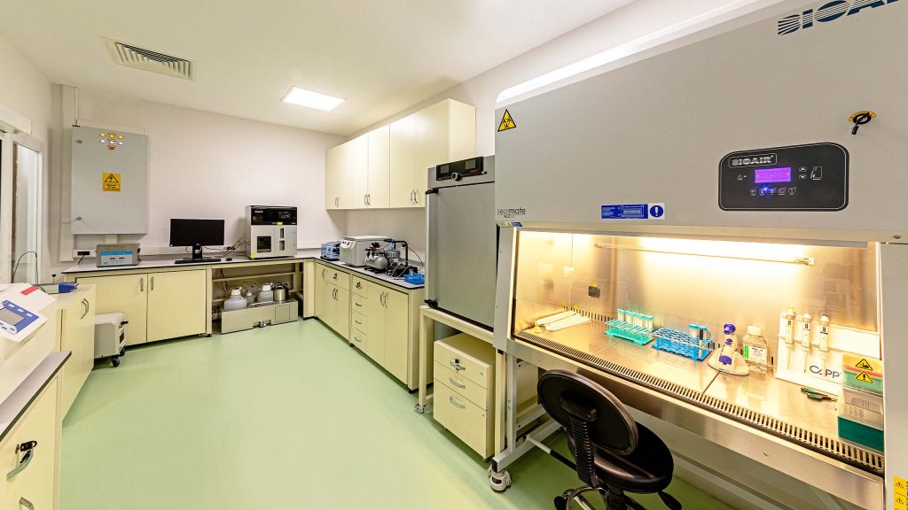 Drug Screening and Organoid Modeling Laboratory